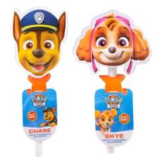 Paw Patrol Fun Lollipop 80g (1st) Coopers Candy